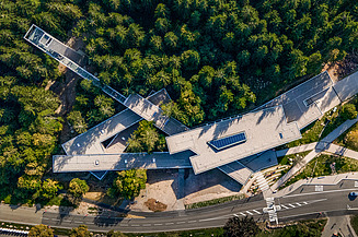 Timber construction Bird's eye view of a wooden building in the forest